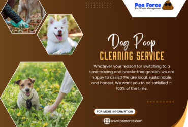 Poo Force Dog Poop Clean Up