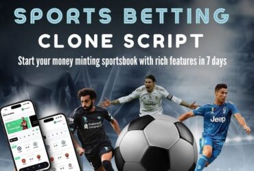 Plurance Delivers the Ultimate Sports Betting Clone Software for Investors