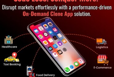 Disrupt Traditional Services Quickly Through a High-Impact On-Demand Clone Script