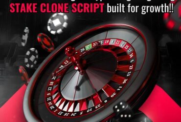 Affordable Stake Clone Script – Whitelabel Casino Solution for Rapid Launch!