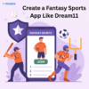 Create a Fantasy Sports App Like Dream11