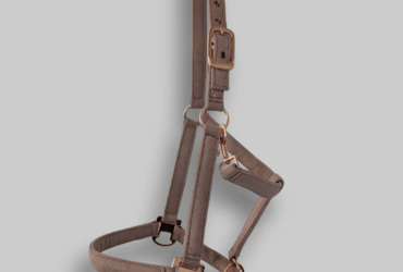 Good Quality Horse Tack – CanterCart