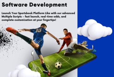 AMA: Ask Anything About Sports Betting Software Development for Startups & Investors