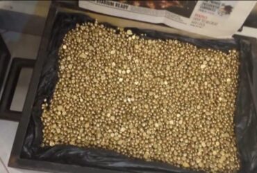 Gold nuggets for sell , buy gold bars and nuggets