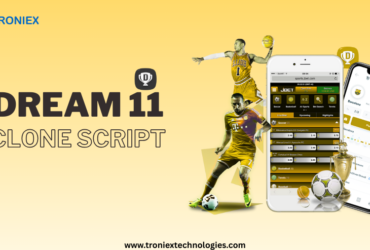 Ready-Made Dream11 Clone App for Sports Entrepreneurs