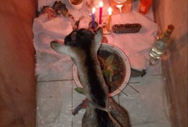 ✓+2349034922291 where to Join occult for ritual in Ghana