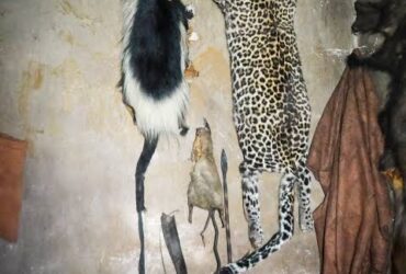 TRADITIONAL HEALER [+27672740459]] ╬ SANGOMA TO BRING BACK LOST LOVE SPELLS CASTER, The Most Powerful Black Magic Voodoo Spells Caster In Toronto, Johannesburg, Washington And OTHER Parts Of THE World.