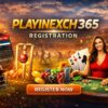 Playinexch 365 Registration Process – A Complete Guide