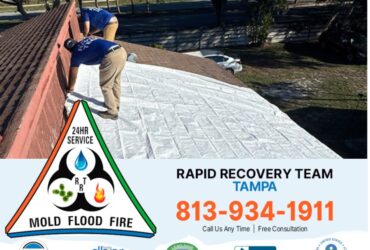 Why Choose Experts for Roof Leak Repair Tampa FL?