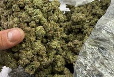 BUY eutylone ,COKE,GBL,GHB, Hashish weed::Zangi Number……43-2995-5266