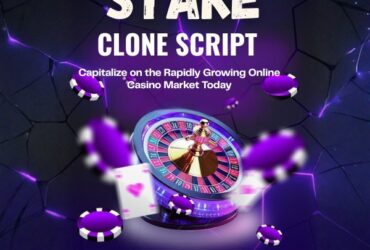 Stake Clone Script – High-ROI Crypto Casino Solution For Instant Market Entry