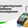 What is Decentralization in Crypto Payment Gateway Development