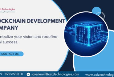 Maximize ROI with Enterprise – Grade Blockchain Development Services – Osiz