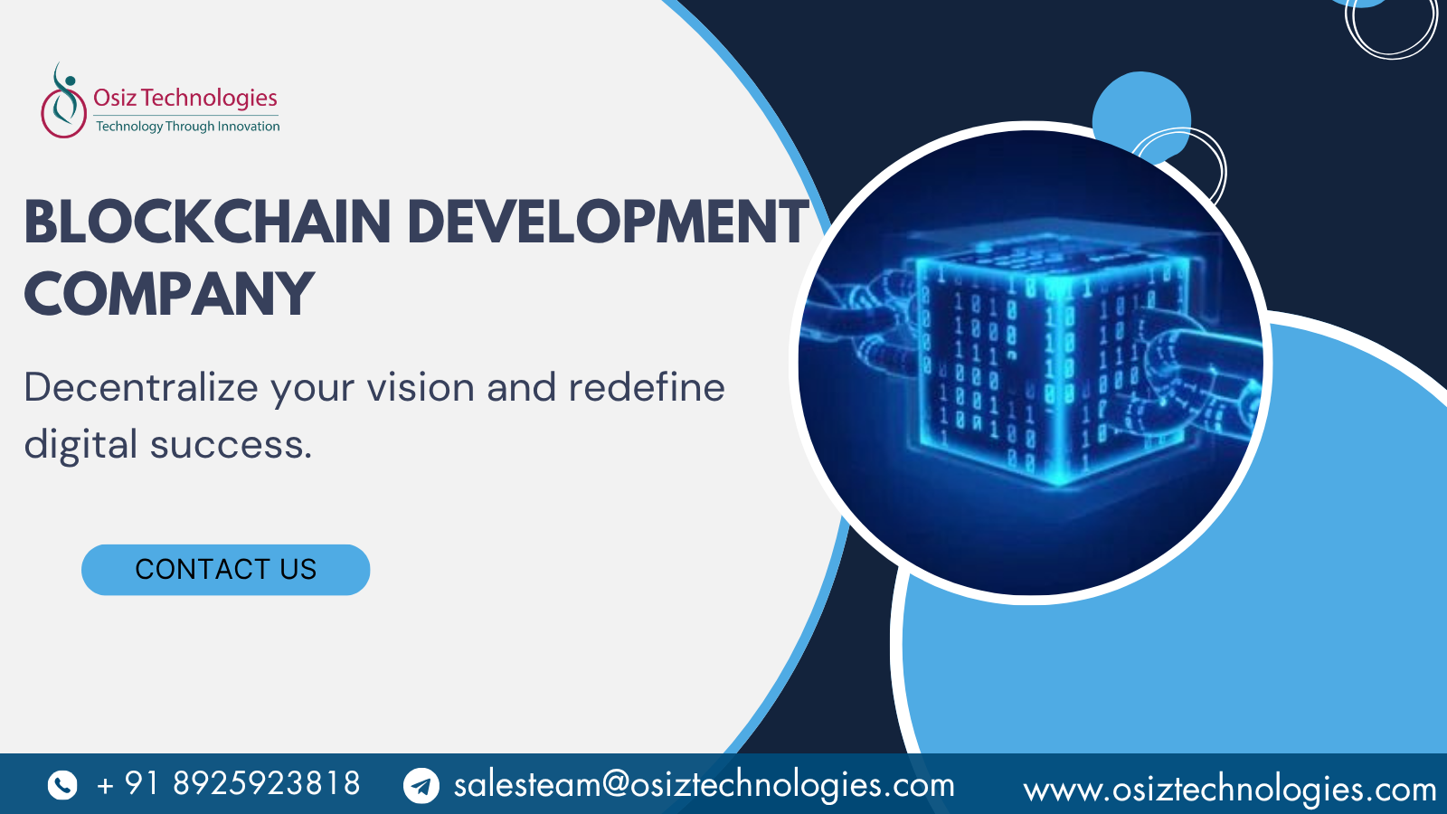 Maximize ROI with Enterprise – Grade Blockchain Development Services – Osiz