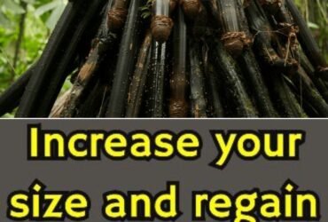 Penis Enlargement Cream In Port San Carlos Human settlement in East Falkland, Falkland Islands Call +27710732372 Penis Enlargement Pills In Tarkio City in Missouri And Bay Springs City In Mississippi, United States