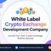 Top White Label Crypto Exchange Development Company in USA – Zodeak