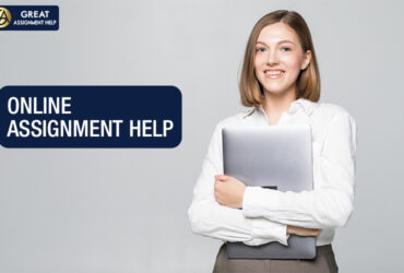 Plagiarism-Free Assignment Help: How Professionals Ensure Originality