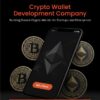 Launch Secure & Scalable Crypto Wallet Solutions with Dappfort