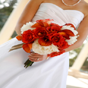 Simply Flowers