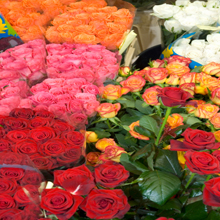 Simply Flowers