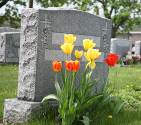 Dawise-Perry Funeral Services/Mandan Crematory