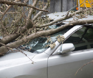 Newtown Road Quality Insurance