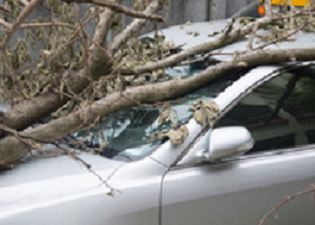 Mountain Air Insurance Services