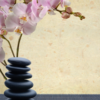 Kat Shea Healing Arts
