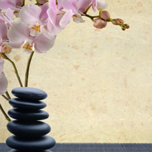 Kat Shea Healing Arts
