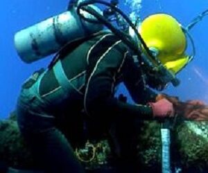 Fisk Marine Insurance International LLC