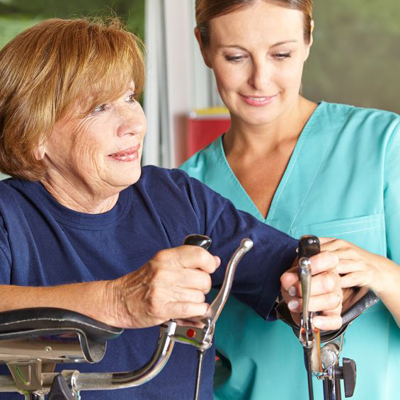 Evergreen Elderly Care, Inc.
