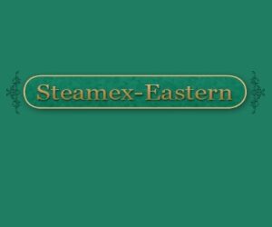 Exploring the Best toledo carpet cleaning company | Steamextoledo.com