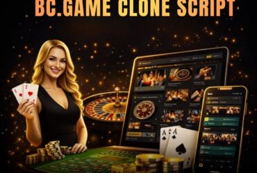BC.Game Clone Script for Fast and Easy Casino Launch