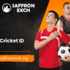 What Makes Saffron Exchange an Extraordinary