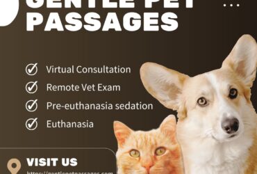 🐾 Pet Aftercare and Memorial Keepsakes