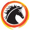 Kaizen Academy LLC