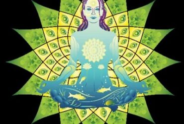 Namaste Skincare & Wellness