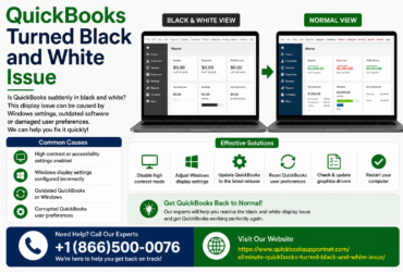 Why Does QuickBooks Screen Turn Black and White? Common Display Issues Explained