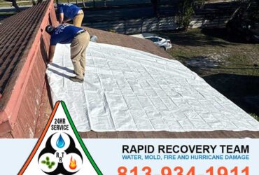 Roof Leak Repair Tampa FL
