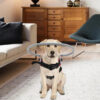 Top Pet Palace | Premium Pet Products and Foods