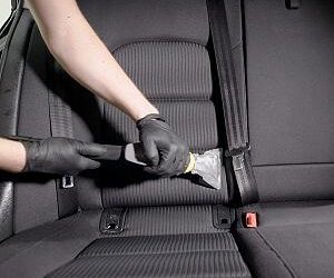 Royal Auto Detail