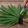 Premium Indoor Cannabis Flower