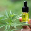Premium CBD Hemp Flower – High Quality