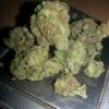 Healthy Cannabis Clones – Strong Genetics