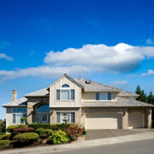ProActive Pest Control