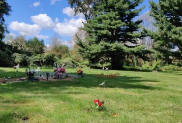 Dear Pet Memorial Park