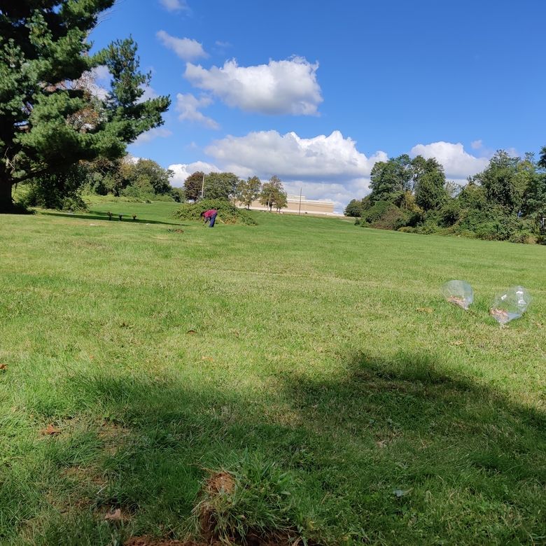 Dear Pet Memorial Park