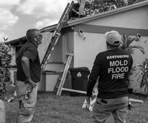 Mold Removal South Florida | Rapid Recovery Team
