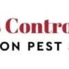 Expert Wasp Control Services for Safe Homes and Businesses Across Melbourne