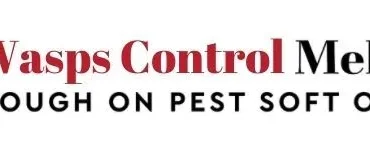 Expert Wasp Control Services for Safe Homes and Businesses Across Melbourne